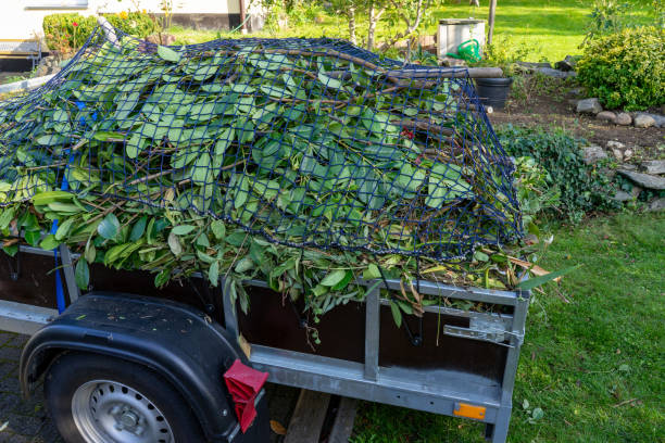 Best Estate Cleanout  in Frederic, WI